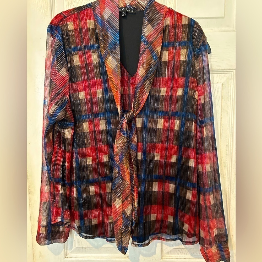 NWOT Zoey & Leelo Multi Colored Shimmering Top.